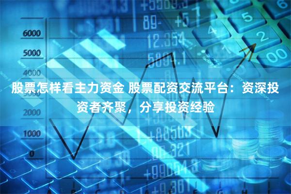 股票怎样看主力资金 股票配资交流平台：资深投资者齐聚，分享投资经验