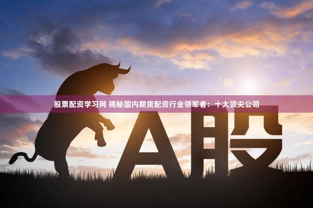股票配资学习网 揭秘国内期货配资行业领军者：十大顶尖公司